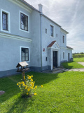 škola