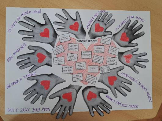 projekt Světový den srdce 2