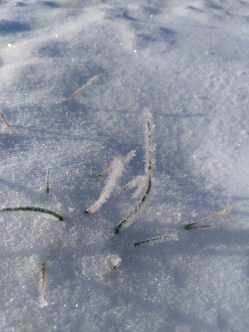 CO DOKÁŽE MRÁZ - VLOČKA